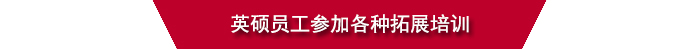 恒行5吸塑员工参加各种拓展培训.jpg