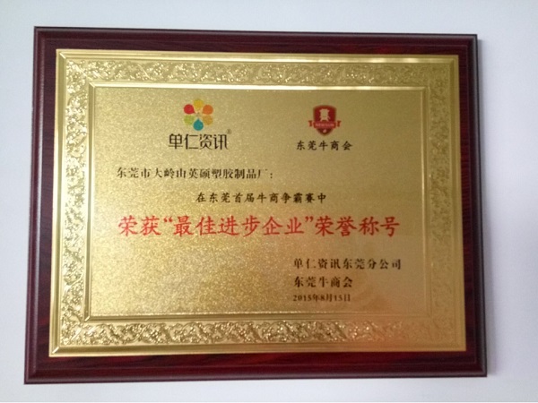 荣获最佳进步企业荣誉称号
